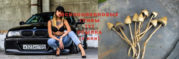 прущая мука Михайловск