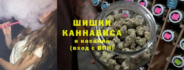 ешки Мегион
