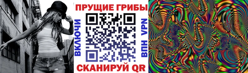 Галлюциногенные грибы Psilocybe  omg маркетплейс  Уссурийск 