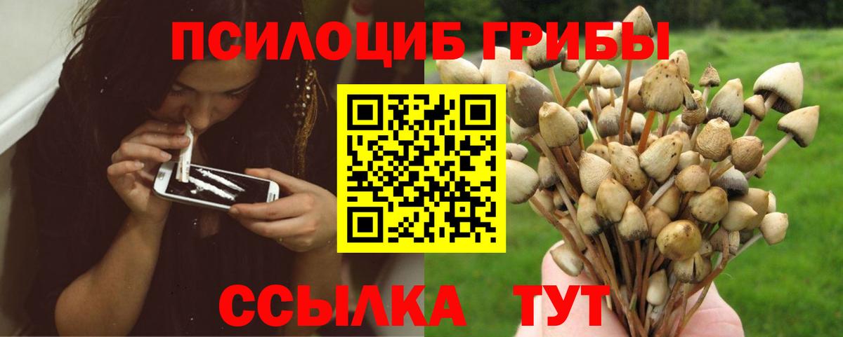 Галлюциногенные грибы ЛСД  Вход с VPN  Уссурийск 