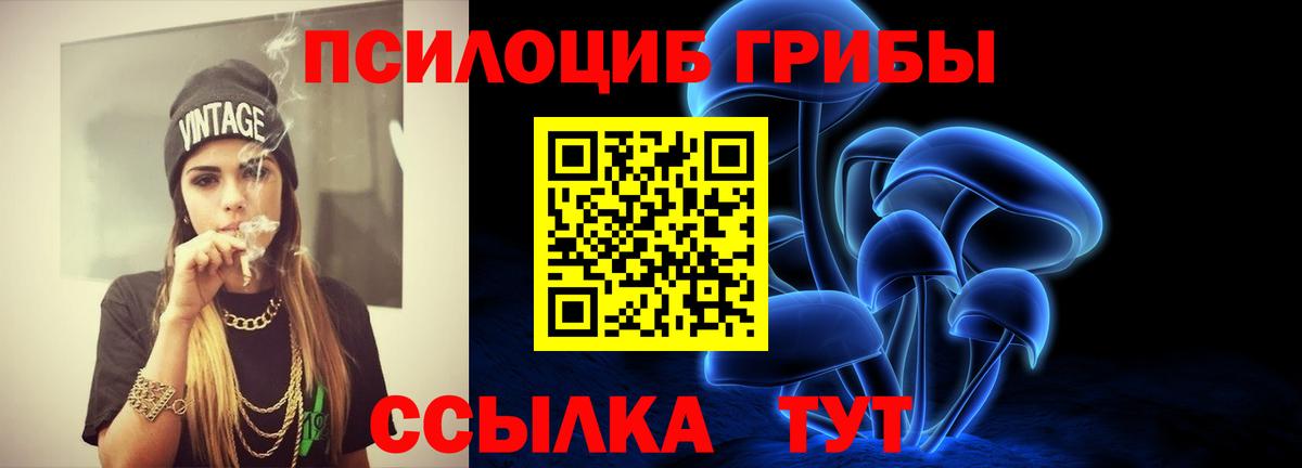 Галлюциногенные грибы Psilocybe  Псилоцибиновые грибы GOLDEN TEACHER  Уссурийск 